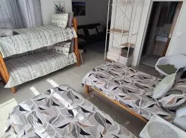 Grey Vine Cottage - Flatlet