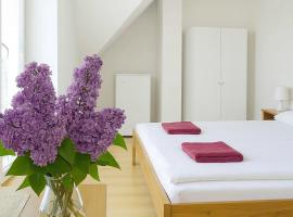 Penzion Zacha se sklípkem, Hotel in Vracov