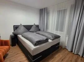 Cozy downtown studio