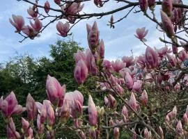 Haus Magnolia