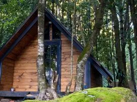 Coigüe Lodge - Villarrica - desayuno incluido