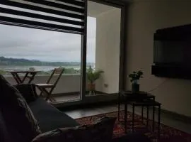 Departamento Concepción