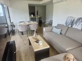 Brand new apartment overlooking the ocean and the hill