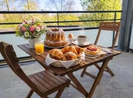 Le Salluste cosy T2 with balcony in Strasbourg