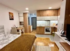 Vidolux Studio - Free Garage and Fast WiFi