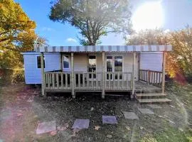 Mobil home 6 personnes, Amorosa0066