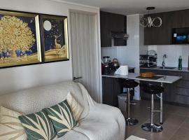 luxurious area and safer than Iquique, hotel a Iquique