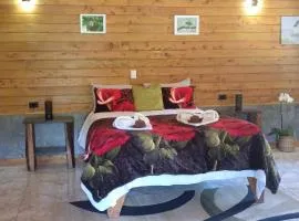 Cabaña vista del cerro