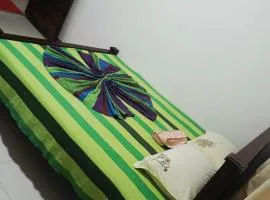 緑豊かな森のホームステイgreen forest homestay