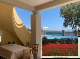 Blue Flag Award Winning Ormos Lo Beach: Home 1