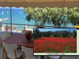 Vrontados में, होटल Blue Flag Award Winning Beach: Home 2