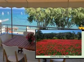 Blue Flag Award Winning Beach: Home 2