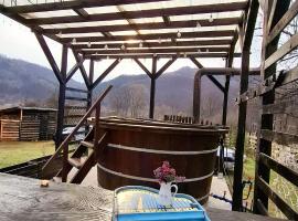 Vila Passiflora, hotel in Dragoslavele