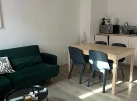 Le Cosy appartement chic 1 chambre au coeur de Pau