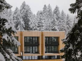 Modern Cozy Studio In Kokhta Mitarbi Bakuriani, hotel en Bakuriani