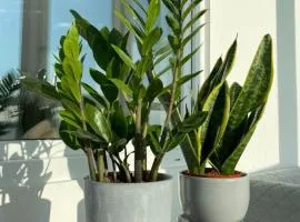 Grand Milestone Inn Saigon Hotel - Ben Thanh Market