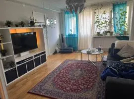 Augustsodermans vag 2