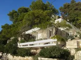 Villa Dzeba