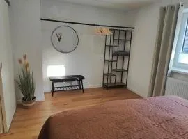 Cozy Modern Apartment in Seelbach near Europa Park