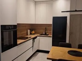 Apartman Damir