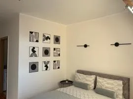 BS Center Apartment
