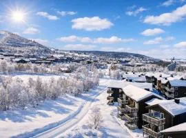 Geilotunet Apartment - close to everything, free parking in garage, EV