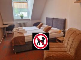 Hotel Skicentrum, hotel v destinaci Harrachov