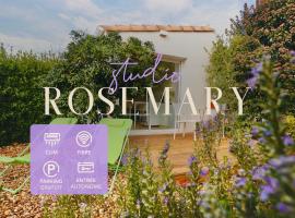 Studio Clim Parc expo Arena à pied, plage à vélo et Montpellier en tram โรงแรมในเปรอลส์