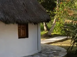 Trinity Beach Villas