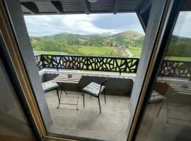 Lovely view & SPA Zlatibor