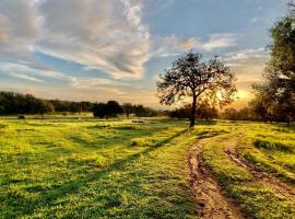 Summerplace Game Reserve, chalupa v destinaci Vaalwater