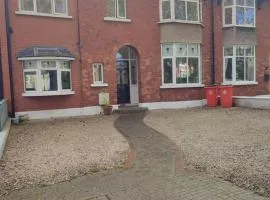 Dublin Gem, Parking, Sleeps 11, Near City Centre