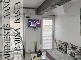 APARTMENTS IVANOViC CENTER CITY