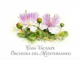 Orchidea del Mediterraneo