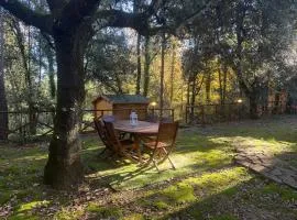 La Casa nel Bosco - 8 posti letto - ItalyWeGo