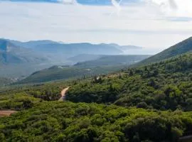 Aselinos Forest Estate