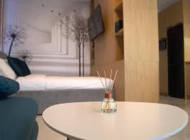 Executive Smart Studio with Private Parking - 5 km to Timisoara Center