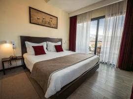 Hotel S Pedro - Arouca, khách sạn ở Arouca