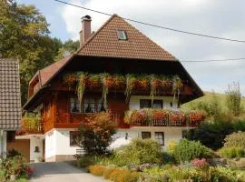 Oberbauernhof - Wohnung Hasacker -- Moderne FeWo im schönen Schwarzwaldhaus