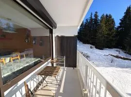 Zen Altitude- Piscine partagée