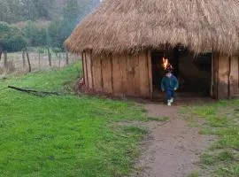 Ruka cabaña - Alojamiento Tradicional Mapuche
