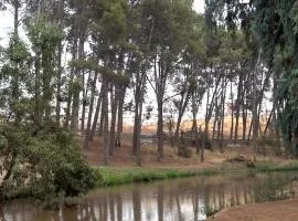 Fes nature