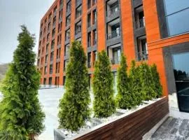 2 Комната в Алвина Комплекс