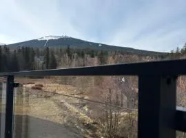 Belle View 212 Strumyk - Mountain View & SPA