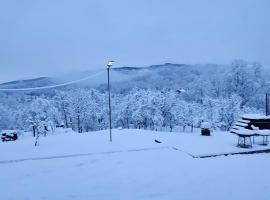 Zen Resort and Winery, hotel a Slănic