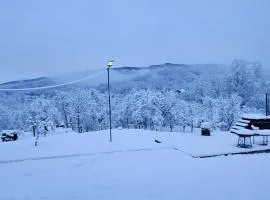 Zen Resort and Winery