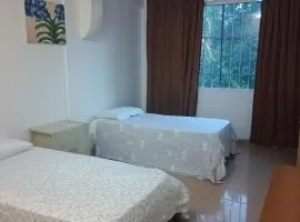 Vision Hall PANORAMA Altamira