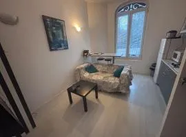 Castel Lily 2 - Face au Parc- Vichy