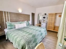 South Beach Suite in South of Fifth Neighborhood Across from Miami's Best Beach