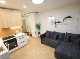 Lazdynėliai Apartment Fast Wi-Fi Cozy for Two